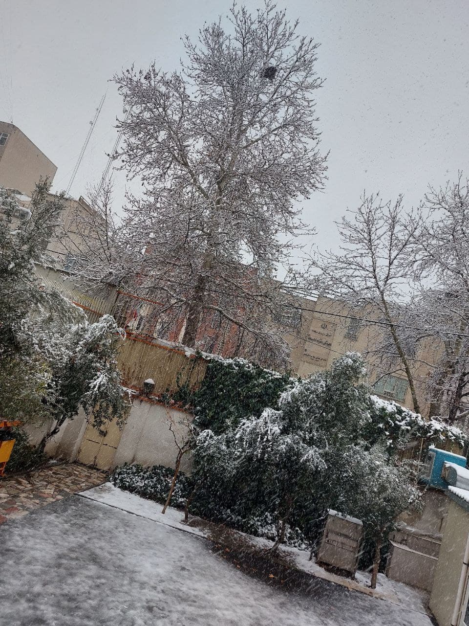 یک روز برفی در دبیرستان بهشت